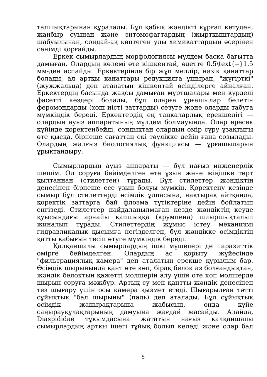 5-бет