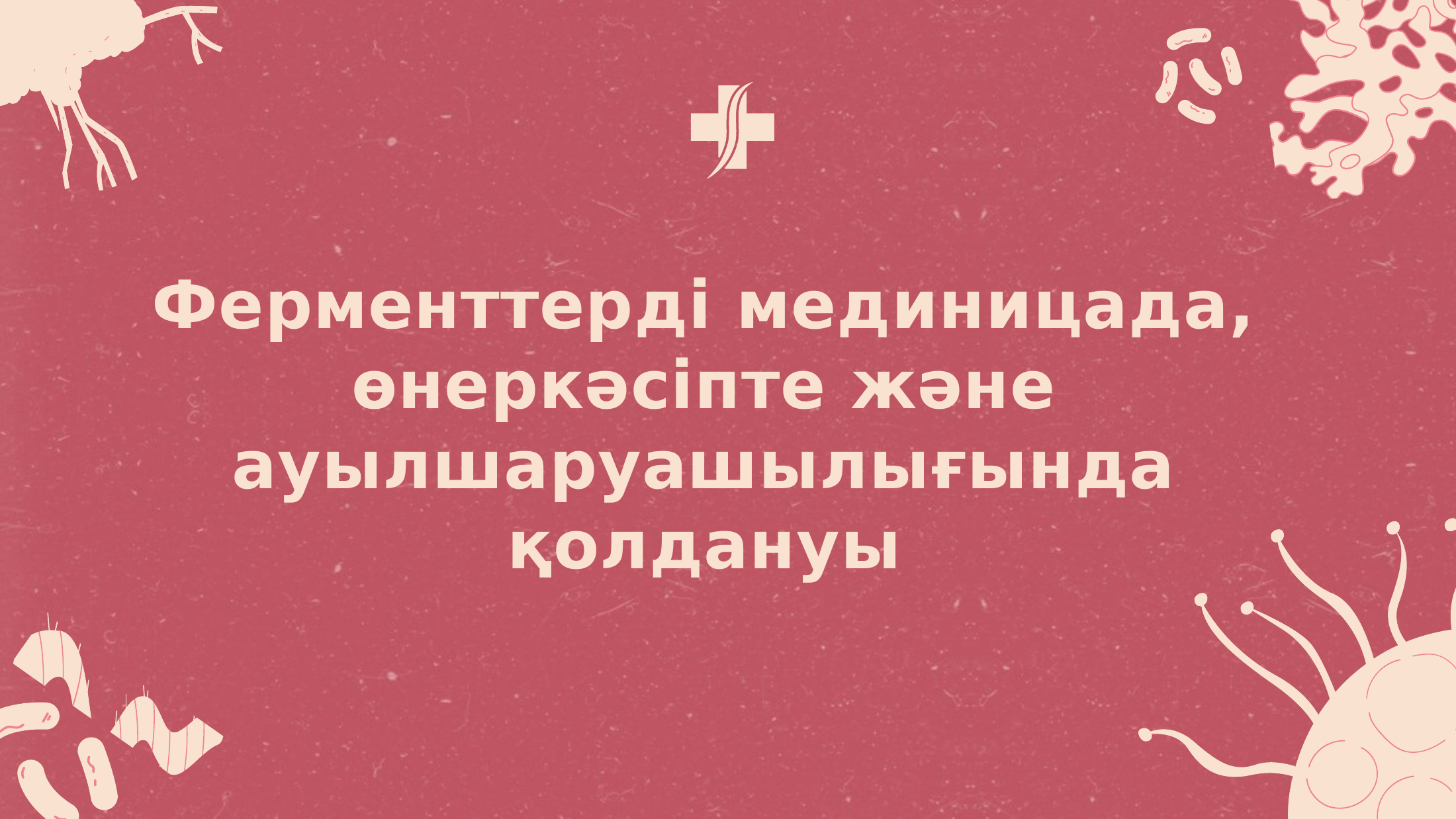 1-бет