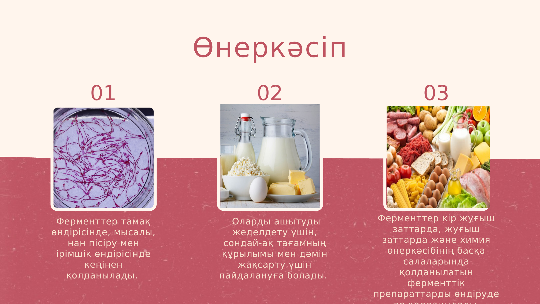 6-бет