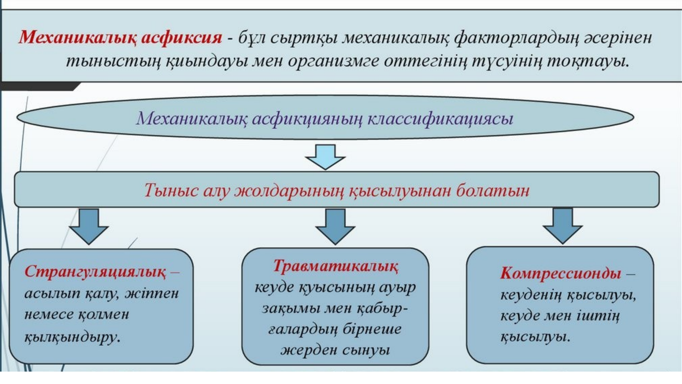 3-бет