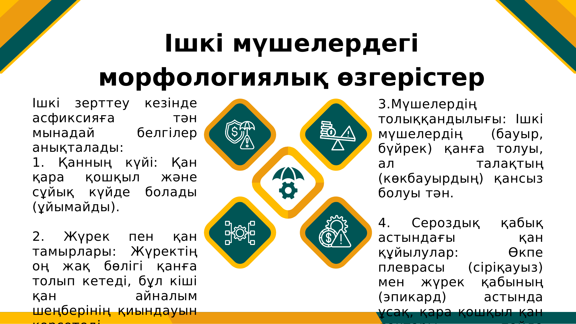 5-бет