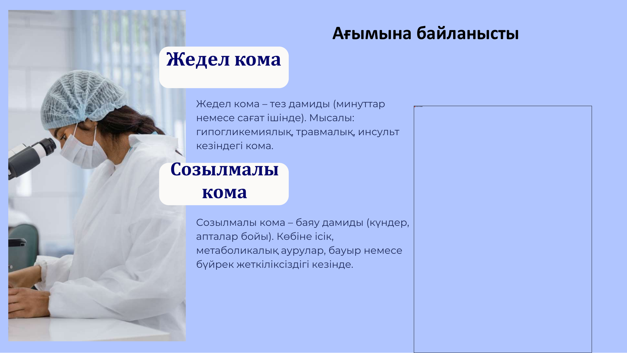 7-бет