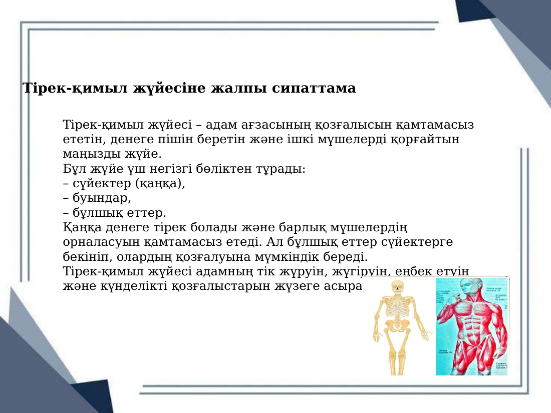 3-бет