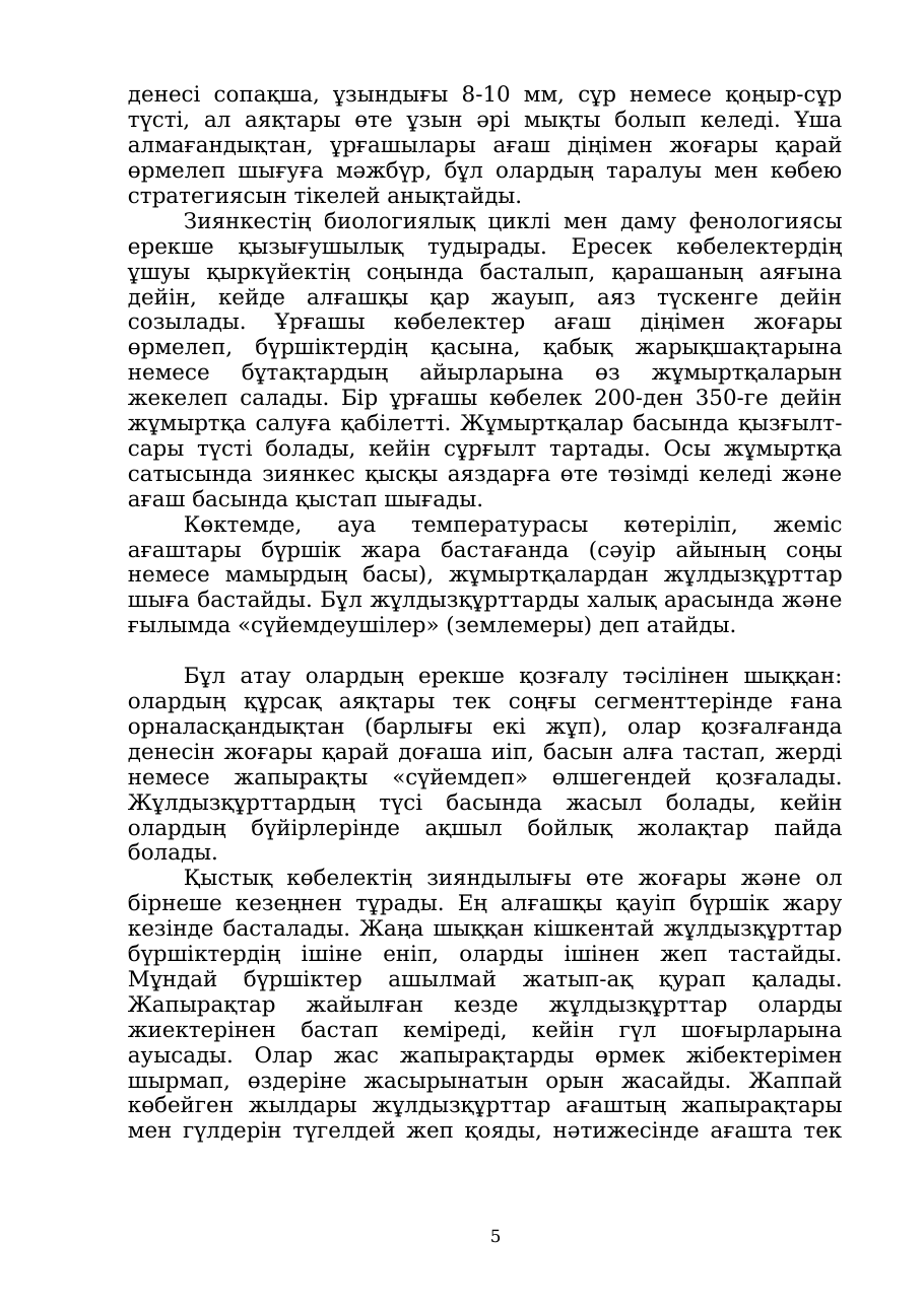 5-бет