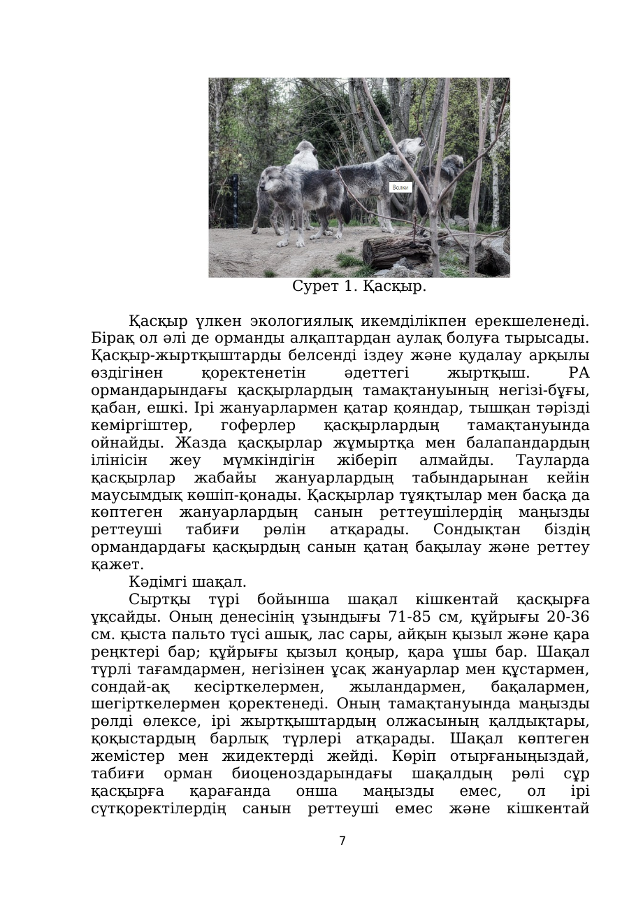 7-бет