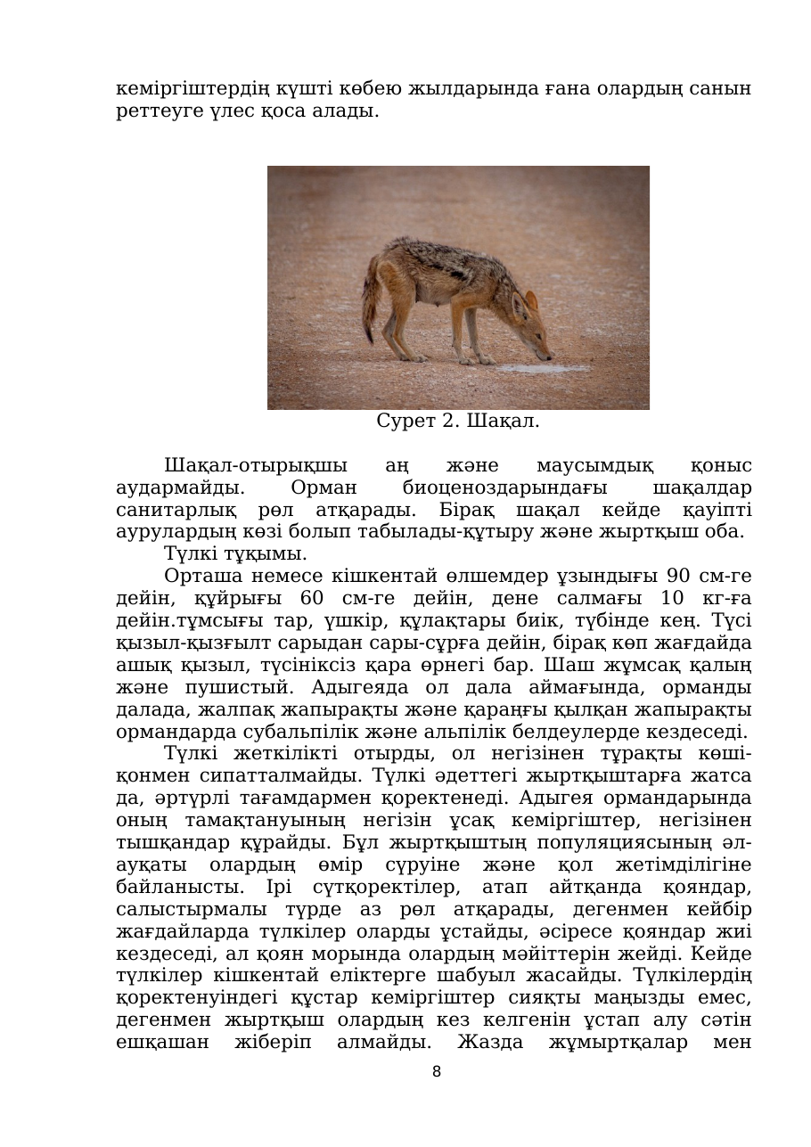 8-бет